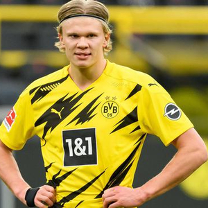 应可能透露 应可能透露